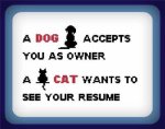 (image for) Owner vs Resume